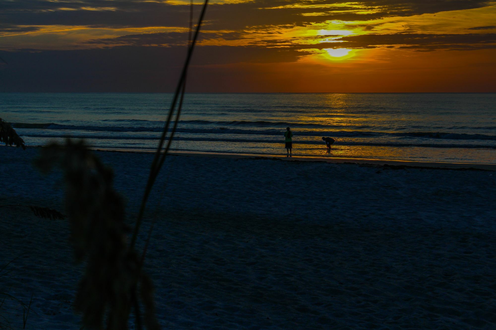 The Resort On Cocoa Beach Dış mekan fotoğraf